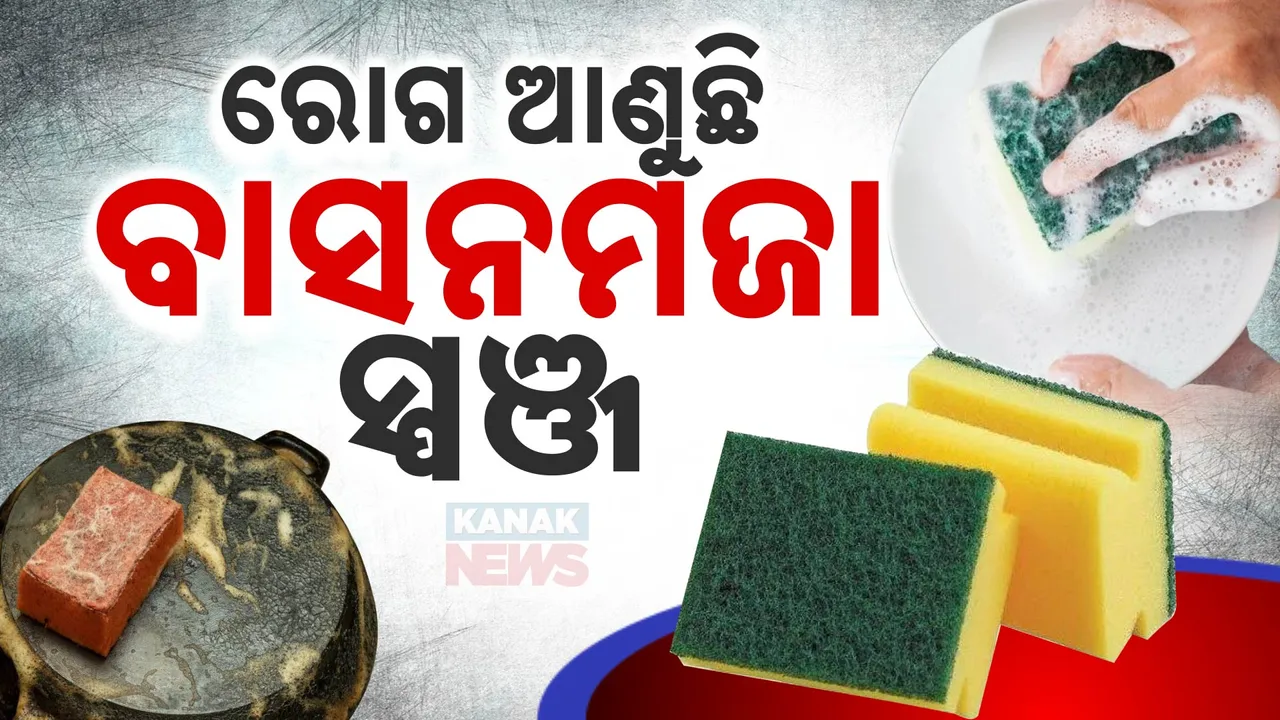  ବାସନ ଧୋଇବା ପାଇଁ ସ୍ପଞ୍ଜର ବ୍ୟବହାର କରୁଛନ୍ତି କି ? ହୋଇଯାଆନ୍ତୁ ସାବଧାନ ! ରୋଗକୁ ଦେଉଛନ୍ତି ନିମନ୍ତ୍ରଣ