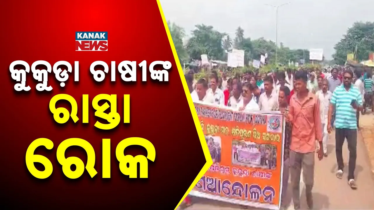  କ୍ଷତିପୂରଣ ଦାବିରେ କୁକୁଡ଼ା ଚାଷୀଙ୍କ ରାସ୍ତାରୋକ, ଶତାଧିକ ଚାଷୀଙ୍କ ବିକ୍ଷୋଭ ପ୍ରଦର୍ଶନ