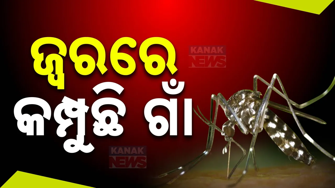  ଜ୍ୱରରେ କମ୍ପୁଛି ଗାଁ: ନବରଙ୍ଗପୁରର ଦୁଇଟି ଗାଁରେ ବ୍ୟାପୁଛି ମ୍ୟାଲେରିଆ, ୨ ଜଣଙ୍କ ମୃତ୍ୟୁ ଅଭିଯୋଗ