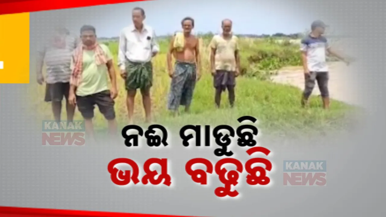  ଘର ପାଖକୁ ମାଡିଆସିଲାଣି ବ୍ରାହ୍ମଣୀ । ଗିଳି ସାରିଲାଣି ୪ଶହ ଏକର ଚାଷ ଜମି । ଭୟରେ ସ୍ଥାନୀୟ ଲୋକେ