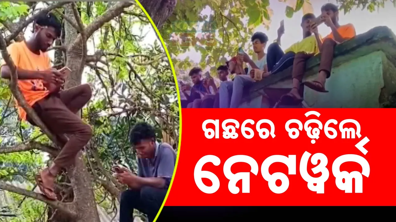  ଗାଁରେ ନାହିଁ ନେଟୱର୍କ । ଗଛରେ ଚଢିଲେ ଆସୁଛି ନେଟୱର୍କ, ସମସ୍ୟା ଭୋଗୁଛନ୍ତି ଲୋକେ