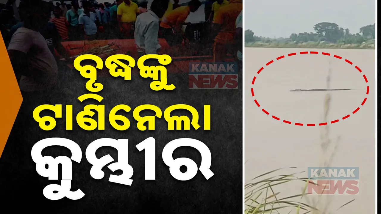  ନଦୀ ଜୋର ଭିତରୁ ବୃଦ୍ଧଙ୍କୁ ଟାଣିନେଲା କୁମ୍ଭୀର ; କେନ୍ଦ୍ରାପଡ଼ା କୋଇଲିଡିହ ପଞ୍ଚାୟତରେ ଅଭାବନୀୟ ଘଟଣା