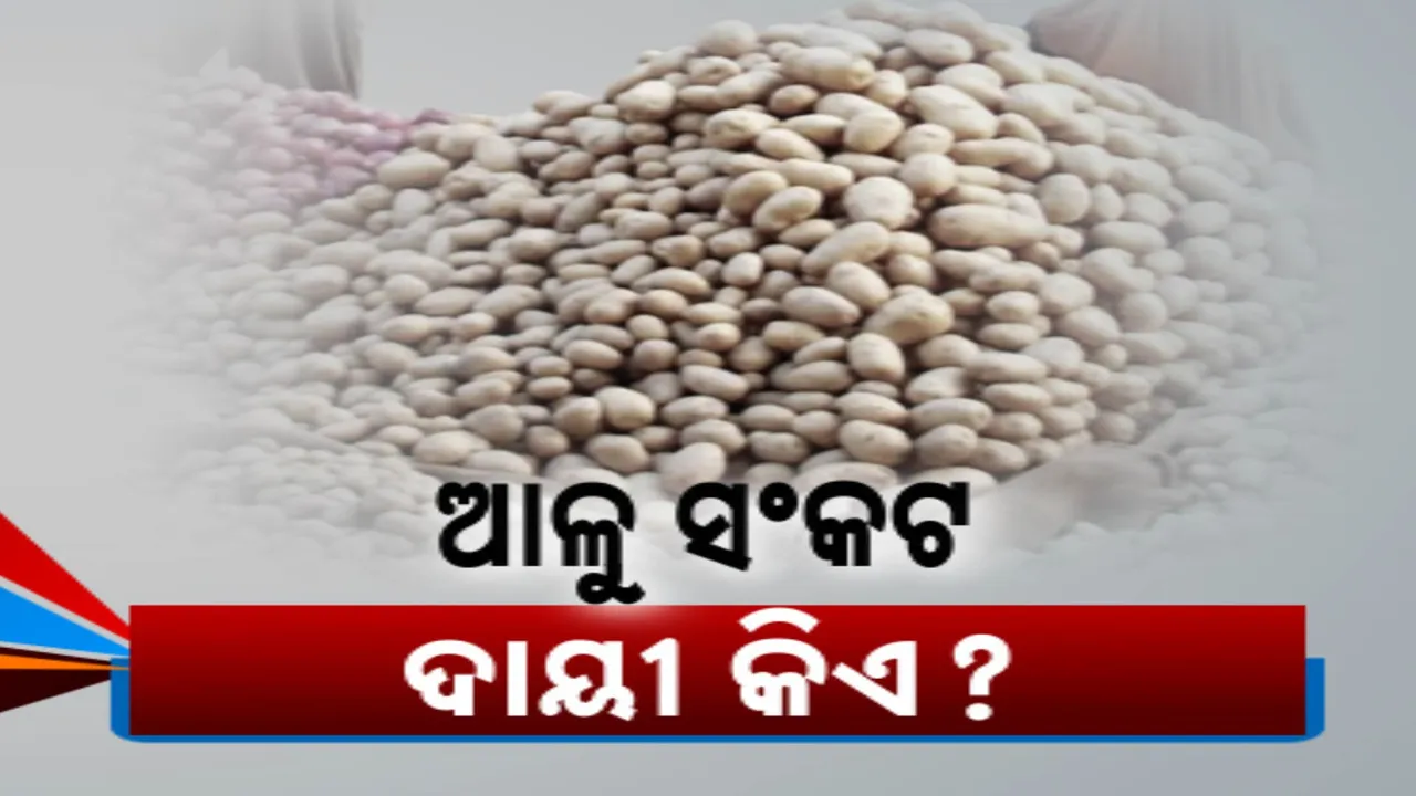  ଆଳୁ ଦର ବୃଦ୍ଧି ପାଇଁ ପୂର୍ବ ସରକାରକୁ ଦାୟୀ କଲେ ମୁଖ୍ୟମନ୍ତ୍ରୀ । ଆଳୁ ଚାଷ କରି ସ୍ୱାବଲମ୍ବୀ ହେବାକୁ ମୁଖ୍ୟମନ୍ତ୍ରୀଙ୍କ ଅପିଲ
