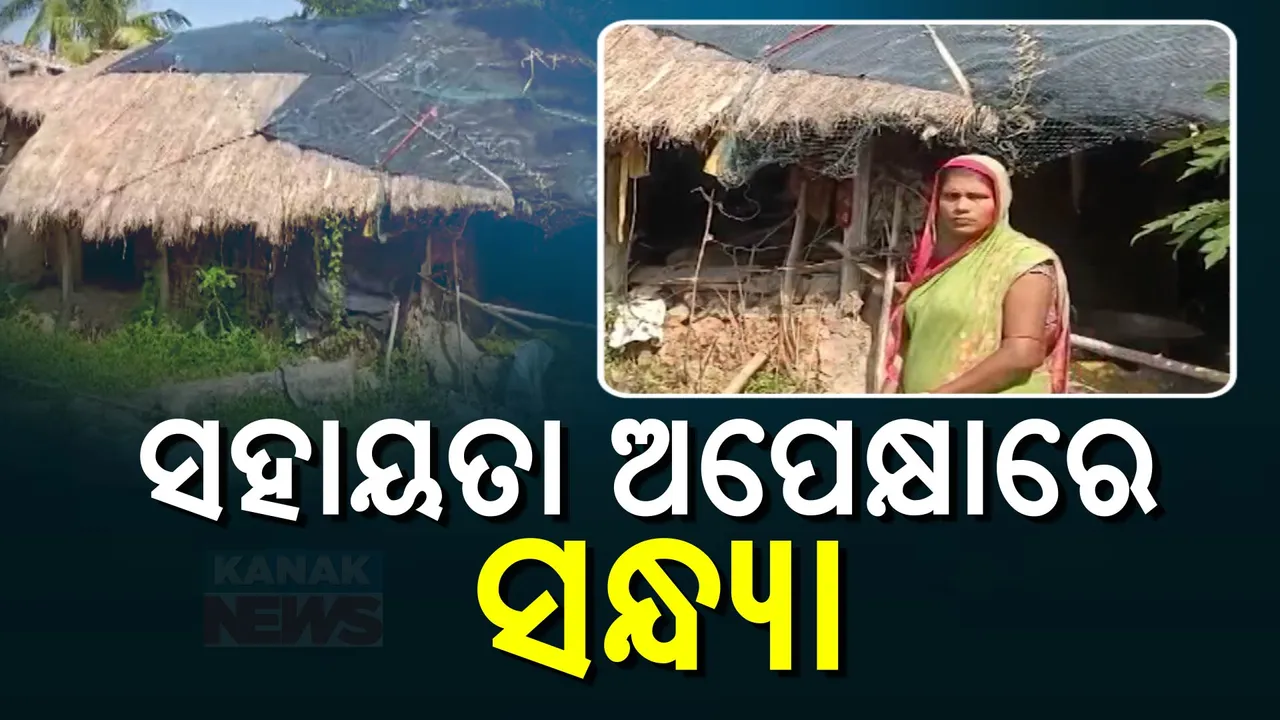  ମୁଣ୍ଡ ଗୁଂଜିବାକୁ ନାହିଁ ଘର ,ପଲିଥିନ୍ ଟଣା ଘରେ ବିତୁଛି ସନ୍ଧ୍ୟାଙ୍କ ଜୀବନ