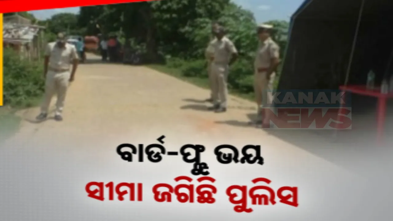  ପୁରୀ ଜିଲ୍ଲାର ବିଭିନ୍ନ ଅଂଚଳରେ ବାର୍ଡ ଫ୍ଲୁ ଆତଙ୍କ,ଅସ୍ତରଙ୍ଗ-କାକଟପୁର ସୀମାରେ ହାଇଆର୍ଲଟ