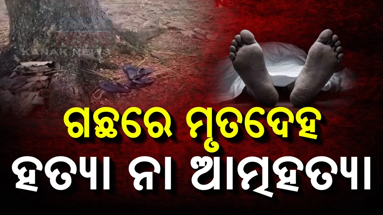  ଗଛରେ ଝୁଲୁଛି ମୃତଦେହ, ହତ୍ୟା ନା ଆତ୍ମହତ୍ୟା କାରଣ ଅସ୍ପଷ୍ଟ