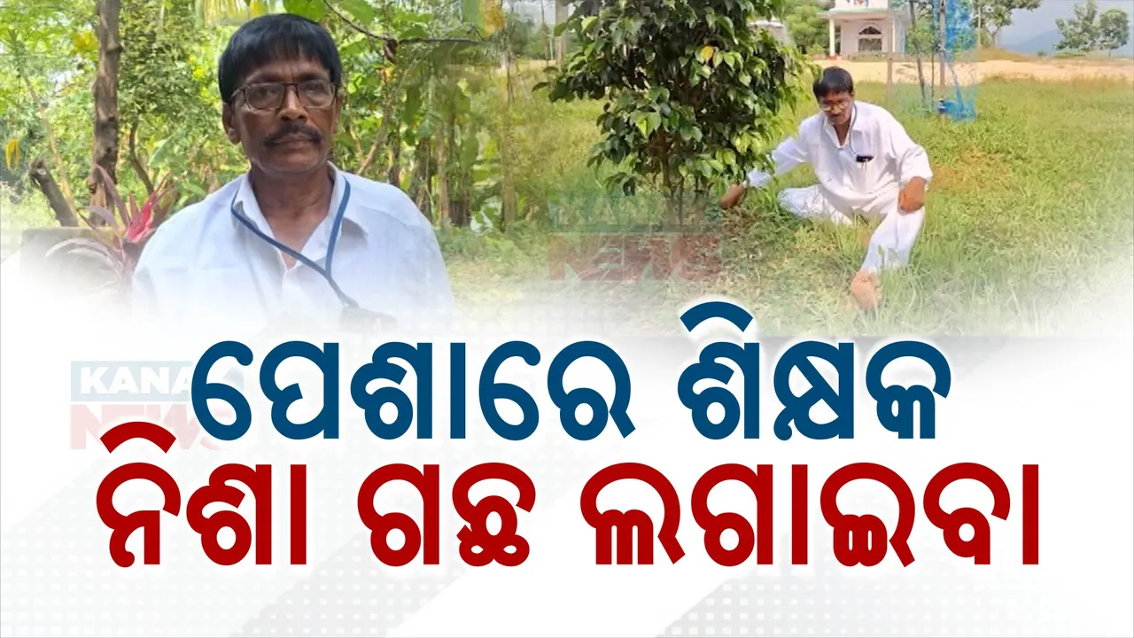  ଶିକ୍ଷକଙ୍କ ପରିବେଶ ପ୍ରେମ: ଶ୍ମଶାନରେ ଗଛ ଲଗାଇବା ନିଶା । ସବୁଜିମାରେ ଭରିଛି ଲଣ୍ଡା ପାହାଡ଼ ।