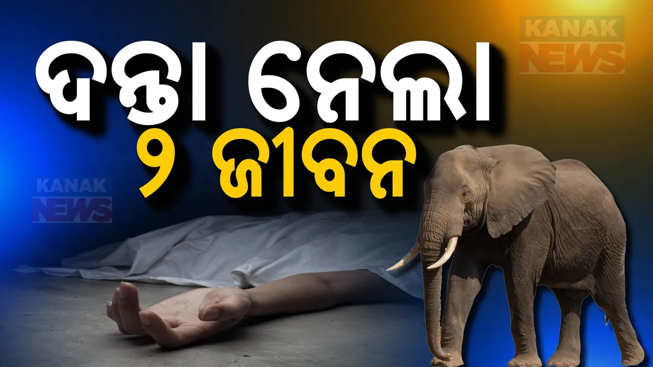  ଦନ୍ତା ନେଲା ୨ ଜୀବନ , ଘରେ ଥିବା ବେଳେ ଆକ୍ରମଣରେ ୨ ମୃତ ।