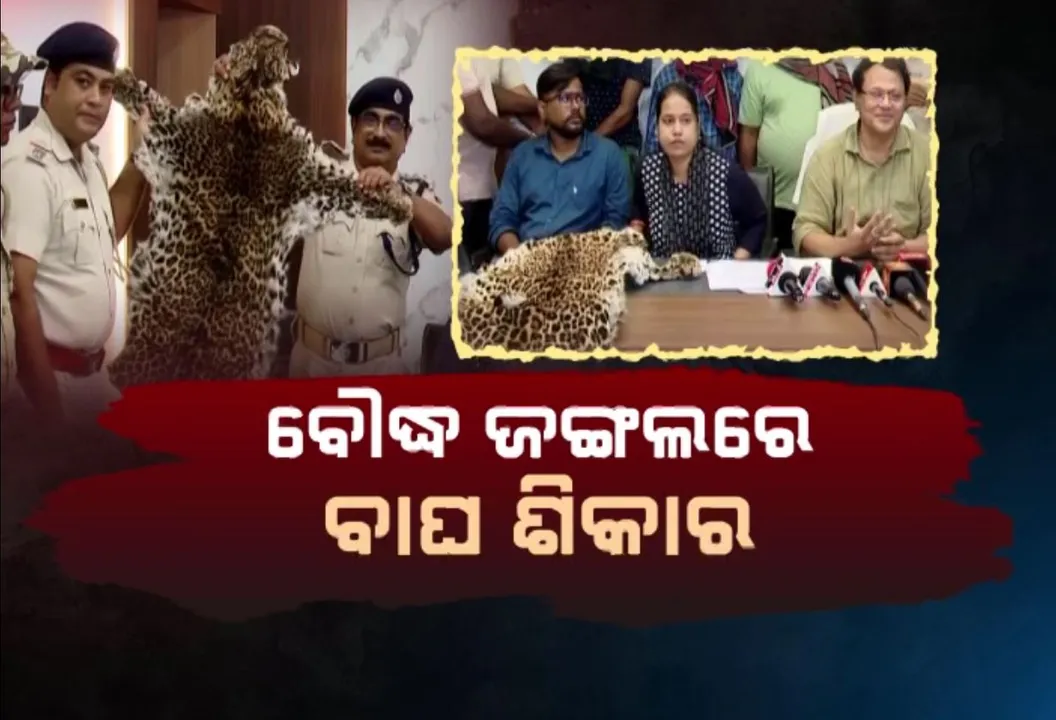  ବାଘ ଛାଲ ରାକେଟର ପର୍ଦ୍ଦାଫାଶ । ବନ ବିଭାଗ କର୍ମଚାରୀ ପାଲଟିଥିଲେ ବେପାରୀ, ଜାଲରେ ଫଶିଗଲେ ବାଘ ଛାଲ ରାକେଟ୍