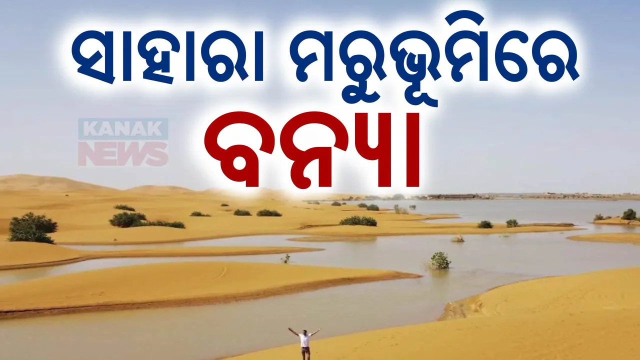  ଜଳବାୟୁ ପରିବର୍ତ୍ତନର ବଡ଼ ପ୍ରଭାବ । ୫୦ ବର୍ଷ ପରେ ସାହାରା ମରୁଭୂମିରେ ଆସିଲା ବନ୍ୟା ।