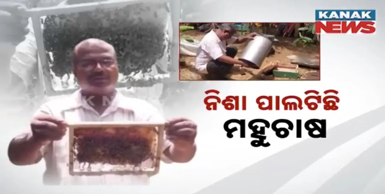  ପିଲାବେଳର ନିଶା, ଆଜି ପାଲଟିଛି ପେଶା । ମହୁ ଚାଷୀଙ୍କ ମାଷ୍ଟ୍ରର ଟ୍ରେନର ସାଜିଛନ୍ତି ଭଦ୍ରକର ହରିହର
