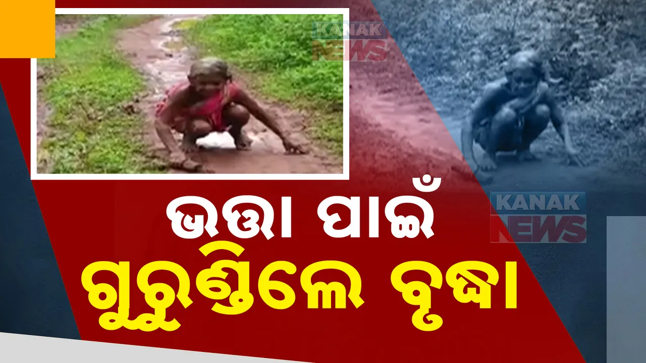  ଅସହାୟ ବୃଦ୍ଧାଙ୍କ କରୁଣ କାହାଣୀ । ଭତ୍ତା ପାଇଁ କାଦୁଅ ରାସ୍ତାରେ ଗୁରୁଣ୍ଡିଲେ ୧ କିଲୋମିଟର