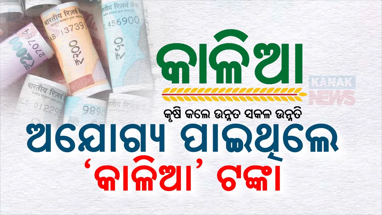  କାଳିଆ ଯୋଜନାରେ ଅନିୟମିତତା ଧରିଲେ ସିଏଜି: ୧୨ ଲକ୍ଷ ୭୨ହଜାର ଅଯୋଗ୍ୟ ହିତାଧିକାରୀଙ୍କୁ ଦିଆଯାଇଛି ୭୮୨କୋଟି ୨୬ଲକ୍ଷ କାଳିଆ ଟଙ୍କା