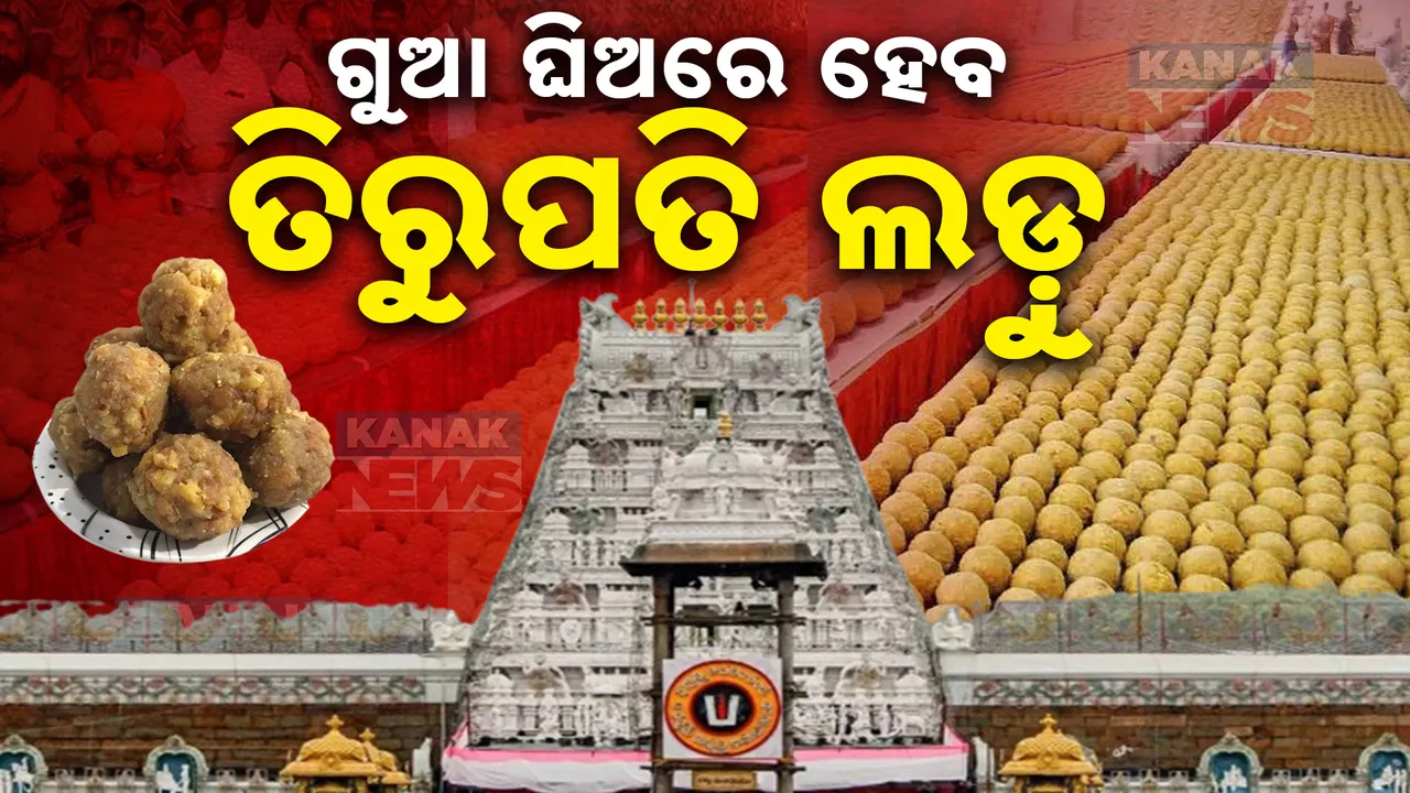  ଘନଉଛି ତିରୁପତି ଲଡୁ ବିବାଦ, ସ୍ପଷ୍ଟିକରଣ ରଖିଲା ମନ୍ଦିର ଟ୍ରଷ୍ଟ