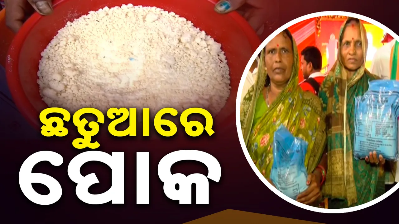  ପିଲାଙ୍କୁ ଦିଆଯାଉଛି ନିମ୍ନମାନର ଛତୁଆ । ସାଲୁବାଲୁ ହେଉଛନ୍ତି ପୋକ