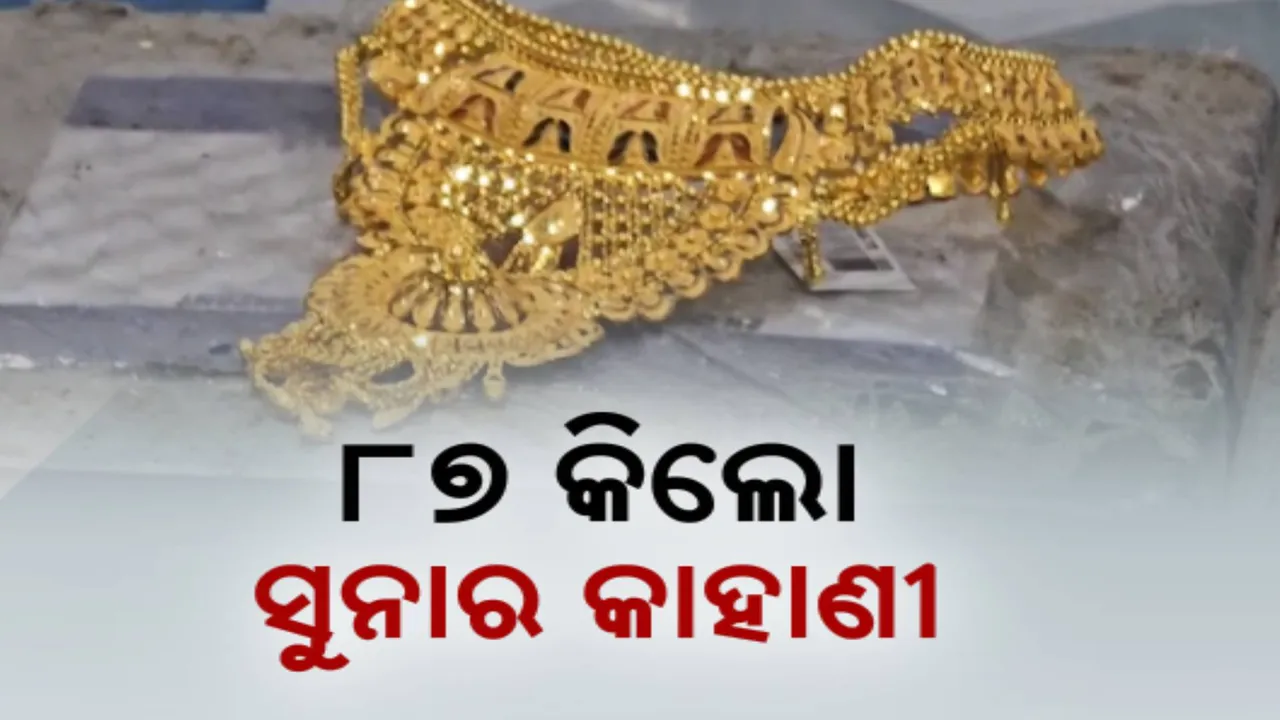  ଓଜନ ସୁନା ସହ ମେଳ ଖାଉନି ଟ୍ୟାକ୍ସ ଇନଭଏସ; ରାତି ତମାମ ସିଟି ଜିଏସଟି ଅଧିକାରୀଙ୍କ କାଗଜପତ୍ର ଯାଞ୍ଚ