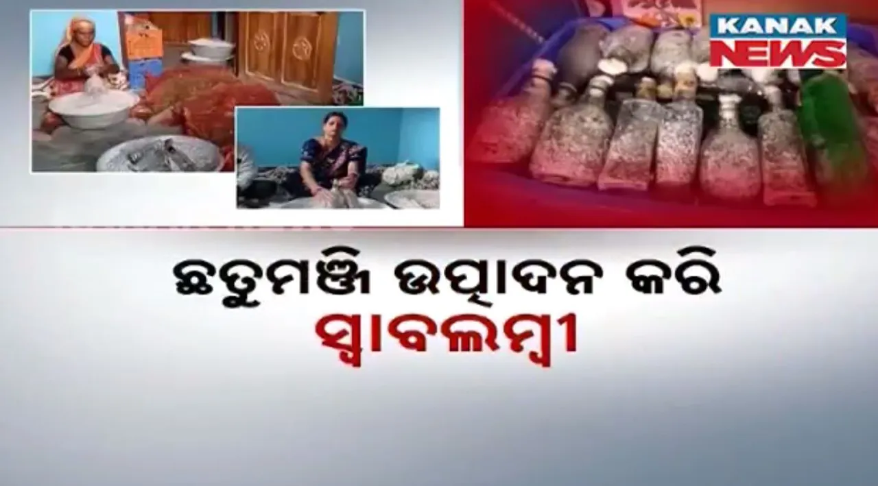  ସ୍ୱାମୀ-ସ୍ତ୍ରୀଙ୍କ ଛତୁମଞ୍ଜି ବ୍ୟବସାୟ: ବର୍ଷକୁ ମିଳୁଛି ଲକ୍ଷାଧିକ ଟଙ୍କାର ରୋଜଗାର