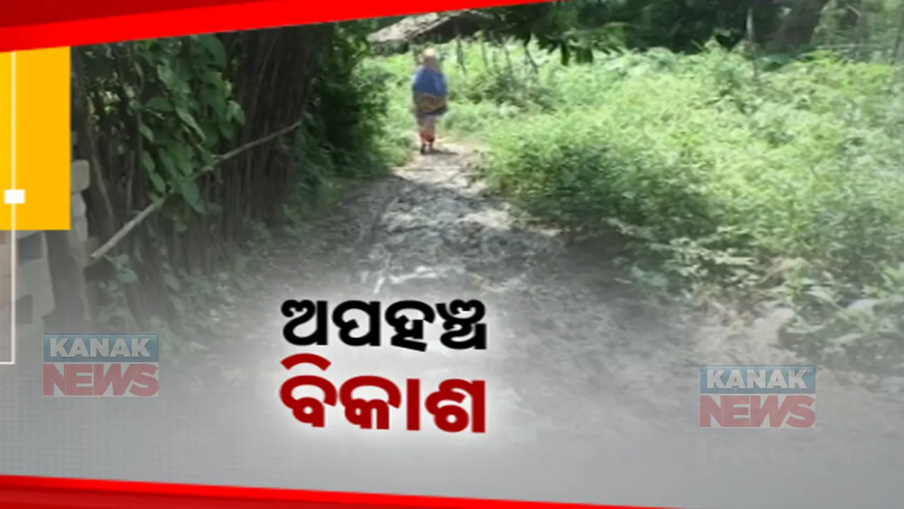  ବିଭିନ୍ନ ମୌଳିକ ସୁବିଧାରୁ ବଞ୍ଚିତ ଗାଁର ଲୋକେ । ଅବ୍ୟବସ୍ଥା ଭିତରେ ଗମନା ଗମନରୁ ପାନୀୟ ଜଳ, ଦୁର୍ଦ୍ଦିନରେ ଜୀବନ ଜୀଉଁଛନ୍ତି ଡଙ୍ଗାମରା ଗ୍ରାମବାସୀ