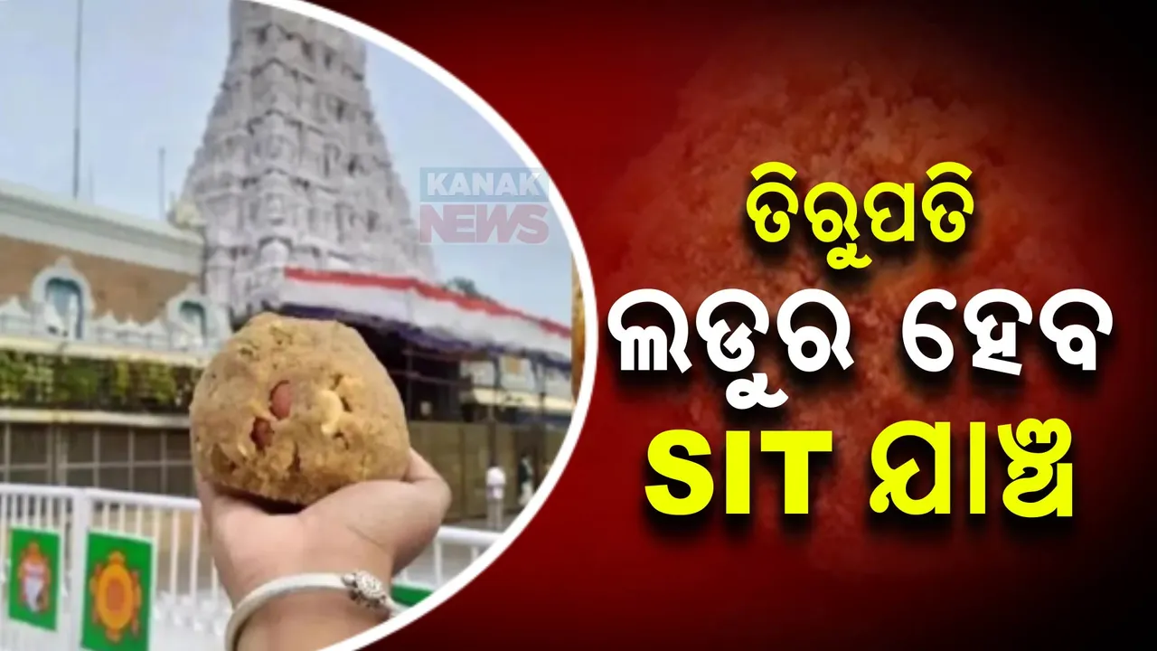  ତିରୁପତି ଲଡୁ ବିବାଦର ହେବ ଏସଆଇଟି ଯାଞ୍ଚ । ନିର୍ଦ୍ଦେଶ ଦେଲେ ମୁଖ୍ୟମନ୍ତ୍ରୀ