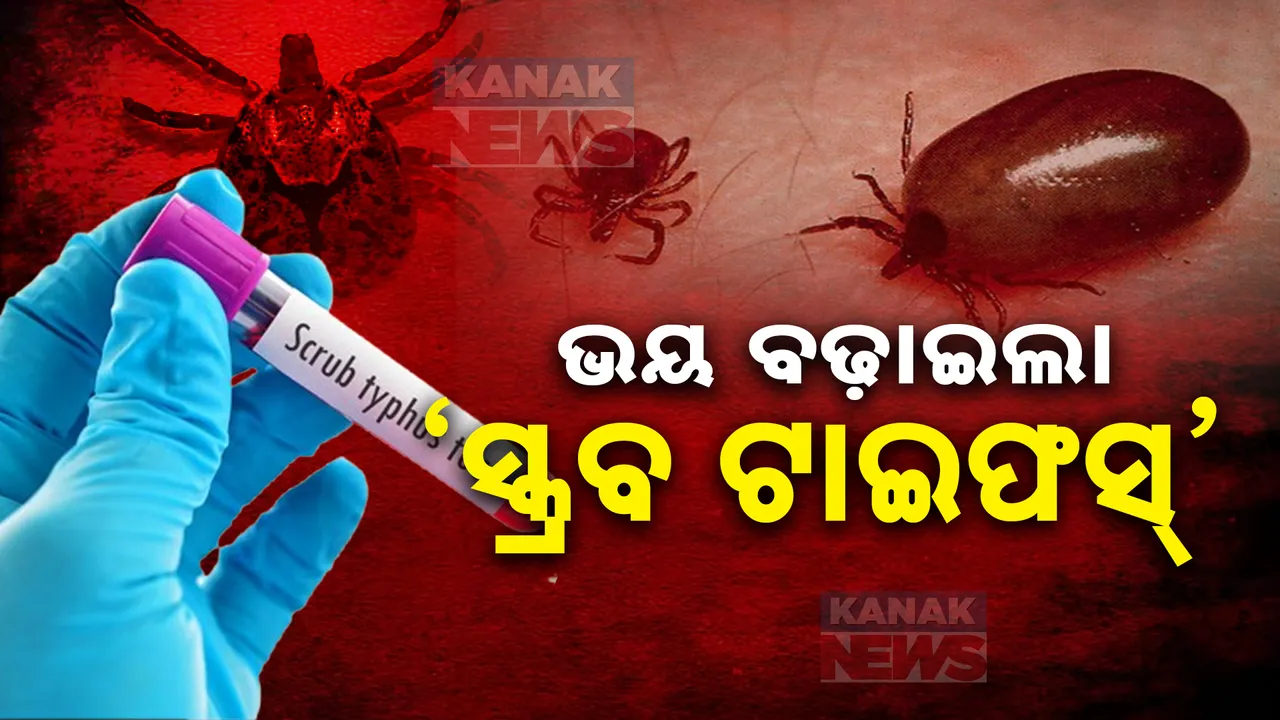  ଡରାଇଲାଣି ସ୍କ୍ରବ୍ ଟାଇଫସ୍ । ବରଗଡ ଜିଲ୍ଲାରେ ଆଉ ଜଣଙ୍କର ମୃତ୍ୟୁ ସନ୍ଦେହ । ଗାଁରେ ପହଞ୍ଚିଲା ମେଡିକାଲ ଟିମ୍