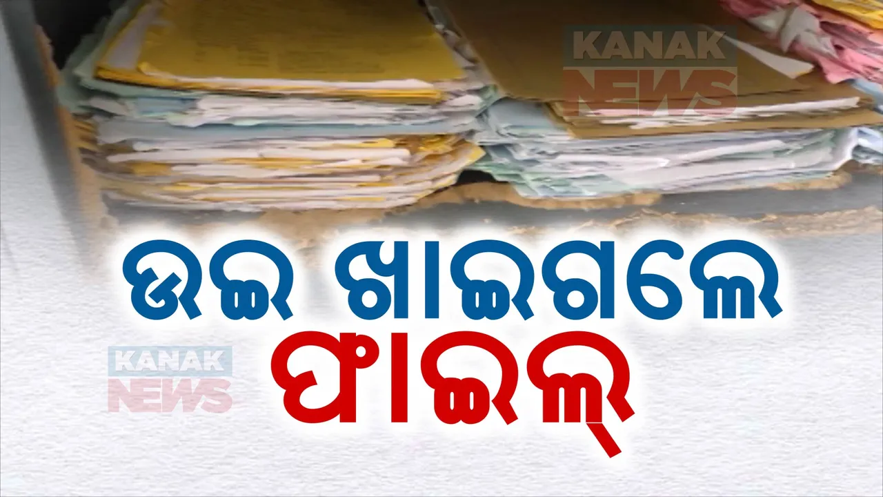  ଉଇ ଖାଇଗଲେ ଫାଇଲ : ଖୋଲାମେଲାରେ ଫାଇଲ୍ ପଡିବାକୁ ନେଇ ଅସନ୍ତୋଷ