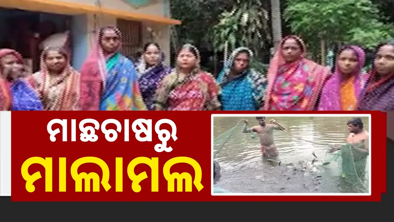  ନିଜସ୍ବ ଉଦ୍ୟମରେ ମାଛ ଚାଷ କରି ସ୍ବାବଲମ୍ବୀ । ଗାଁ ମହିଳାଙ୍କ ପ୍ରେରଣାଦାୟୀ କାହାଣୀ