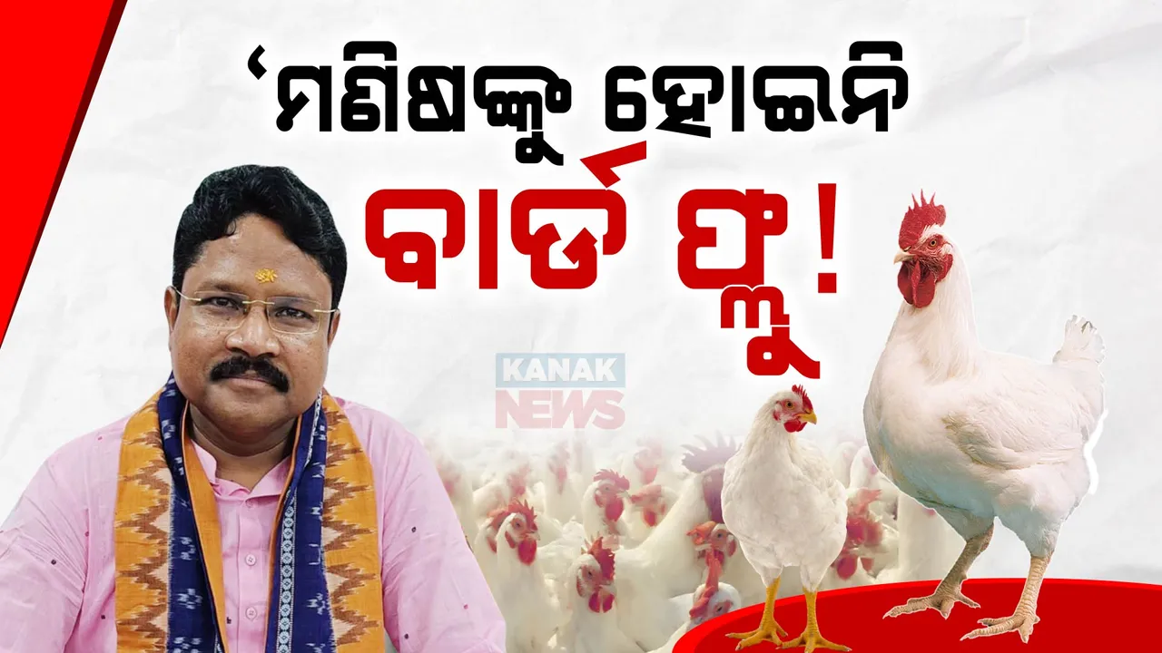  ମଣିଷକୁ ହୋଇନି ବାର୍ଡ ଫ୍ଲୁ ; ସ୍ପଷ୍ଟ କଲେ ସ୍ୱାସ୍ଥ୍ୟମନ୍ତ୍ରୀ ମୁକେଶ ମହାଲିଙ୍ଗ