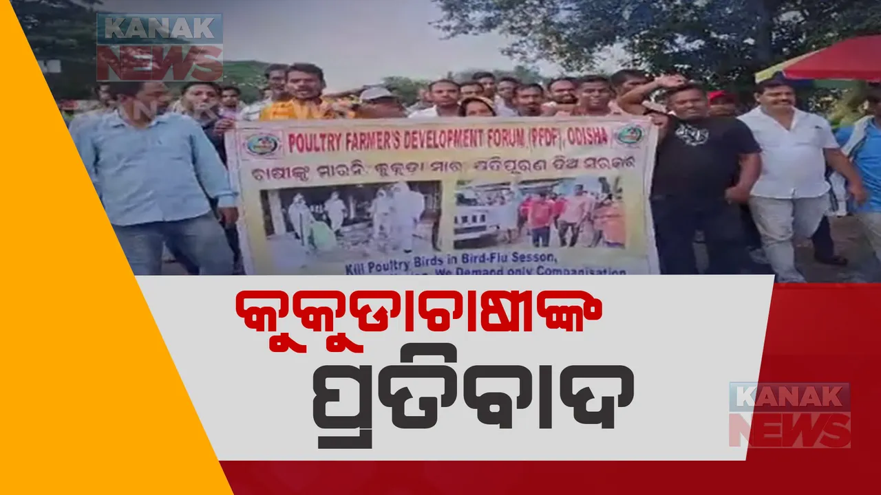  କ୍ଷତିପୂରଣ ଦାବିରେ କୁକୁଡା ଚାଷୀଙ୍କ ବିକ୍ଷୋଭ: ପୁରୀ-ଭୁବନେଶ୍ୱର ଜାତୀୟ ରାଜପଥରେ ଆନ୍ଦୋଳନ