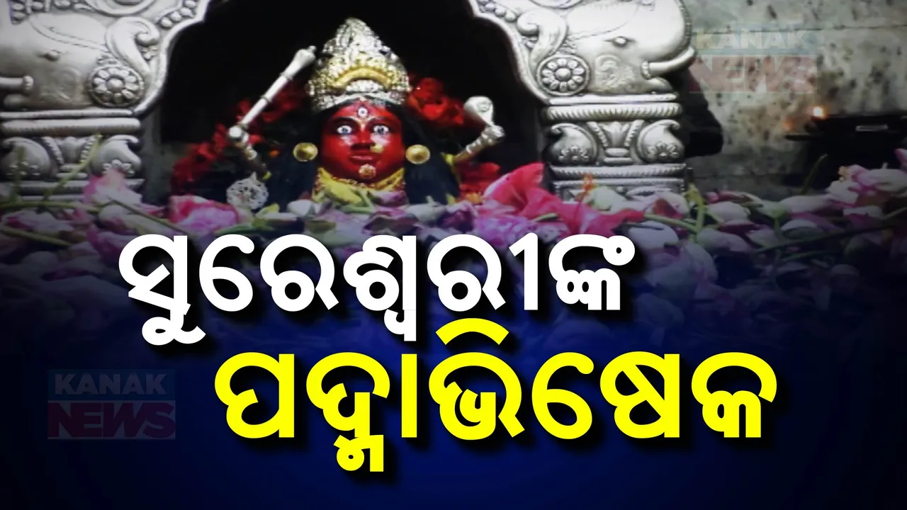  ଷୋହଳ ହଜାର ପଦ୍ମରେ ସଜେଇ ହେଲେ ସୁରେଶ୍ୱରୀ । ଦଶମୀ ତିଥିରେ ଶକ୍ତିପୀଠରେ ପଦ୍ମାଭିଷେକ