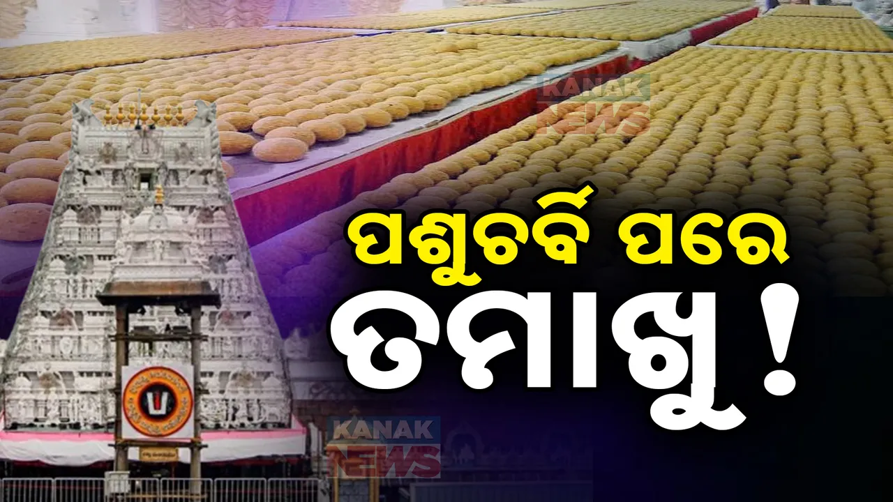  ତିରୁପତି ଲଡୁ ବିବାଦ ଭିତରେ ଆଉ ଏକ ସଂଗୀନ ଅଭିଯୋଗ । ଲଡୁରେ ତମାଖୁ ମିଶିଥିବା ଶ୍ରଦ୍ଧାଳୁଙ୍କ ଦାବି