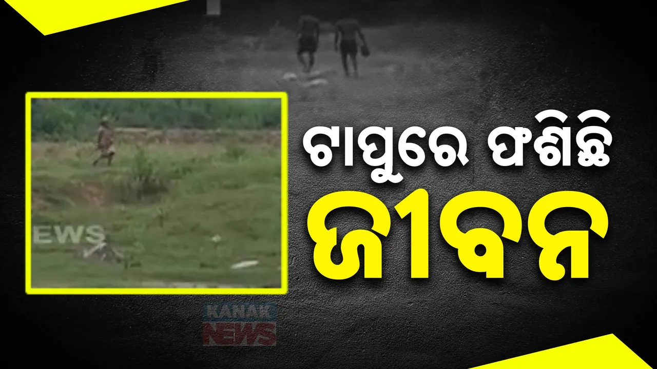  ଛେଳି ଚରାଇବାକୁ ଯାଇ ଟାପୁରେ ଫସିଲେ ମହିଳା ,ସୁନ୍ଦରଗଡରୁ ଆସିଲା ଅଭାବନୀୟ ଦୃଶ୍ୟ ।