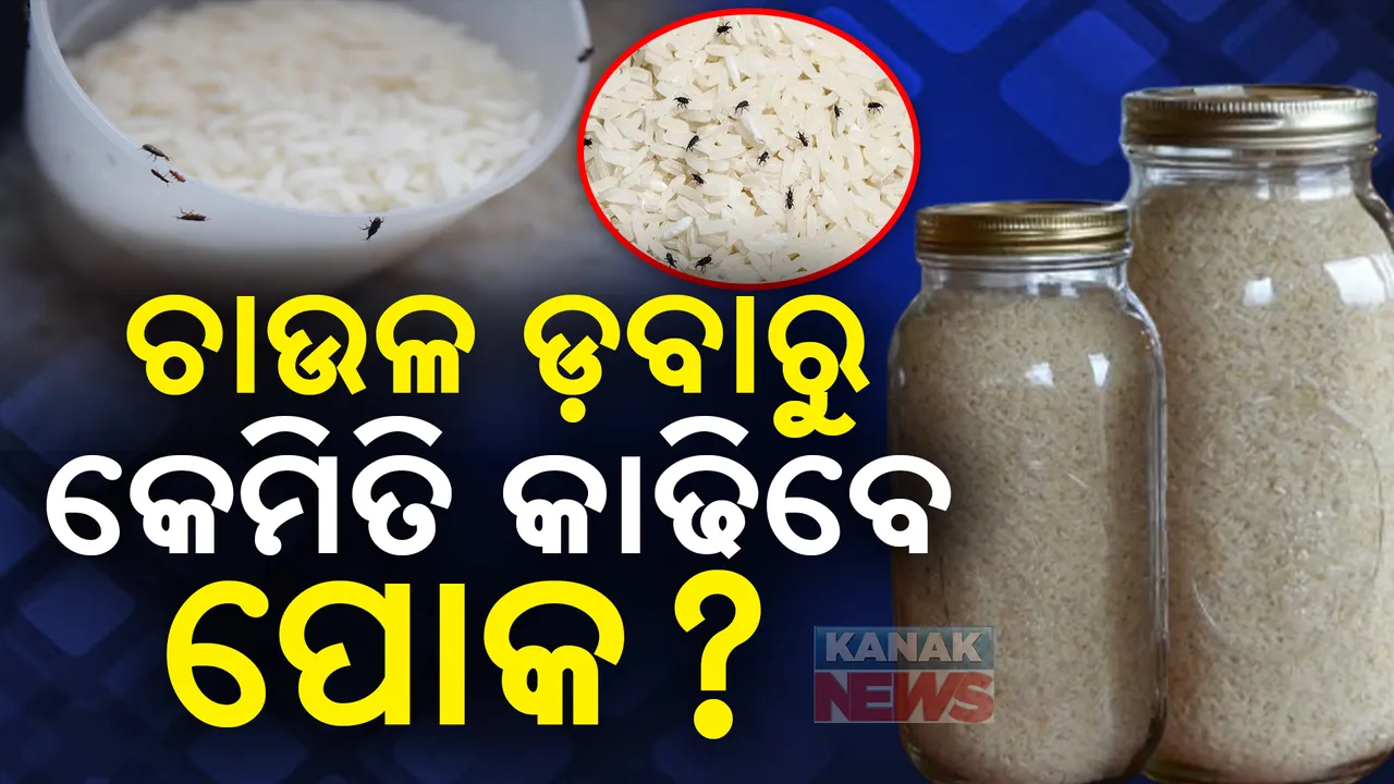  ଚାଉଳ ଡ଼ବାରେ ପୋକ ଲାଗୁଛନ୍ତି କି ? ଆପଣାନ୍ତୁ ଏହି ଘରୋଇ ଉପାୟ