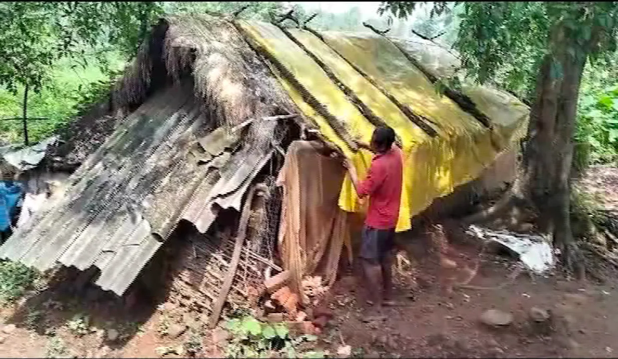  ଦଦରା କୁଡ଼ିଆରେ ବିତୁଛି ଜୀବନ । ଦିବ୍ୟାଙ୍ଗ ଭଉଣୀ ପାଇଁ ଜଗି ରହିଛି ଭାଇ