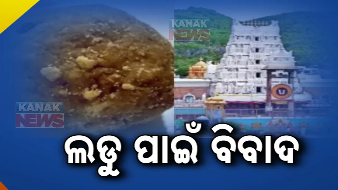  ତିରୁପତି ଲଡୁରେ ପଶୁ ଚର୍ବି ଓ ମାଛ ତେଲ ମିଶିବା ଘଟଣା : ଲ୍ୟାବ ରିର୍ପୋଟକୁ ମିଛ କହିଲା ଘିଅ ଯୋଗାଉଥିବା କମ୍ଫାନୀ