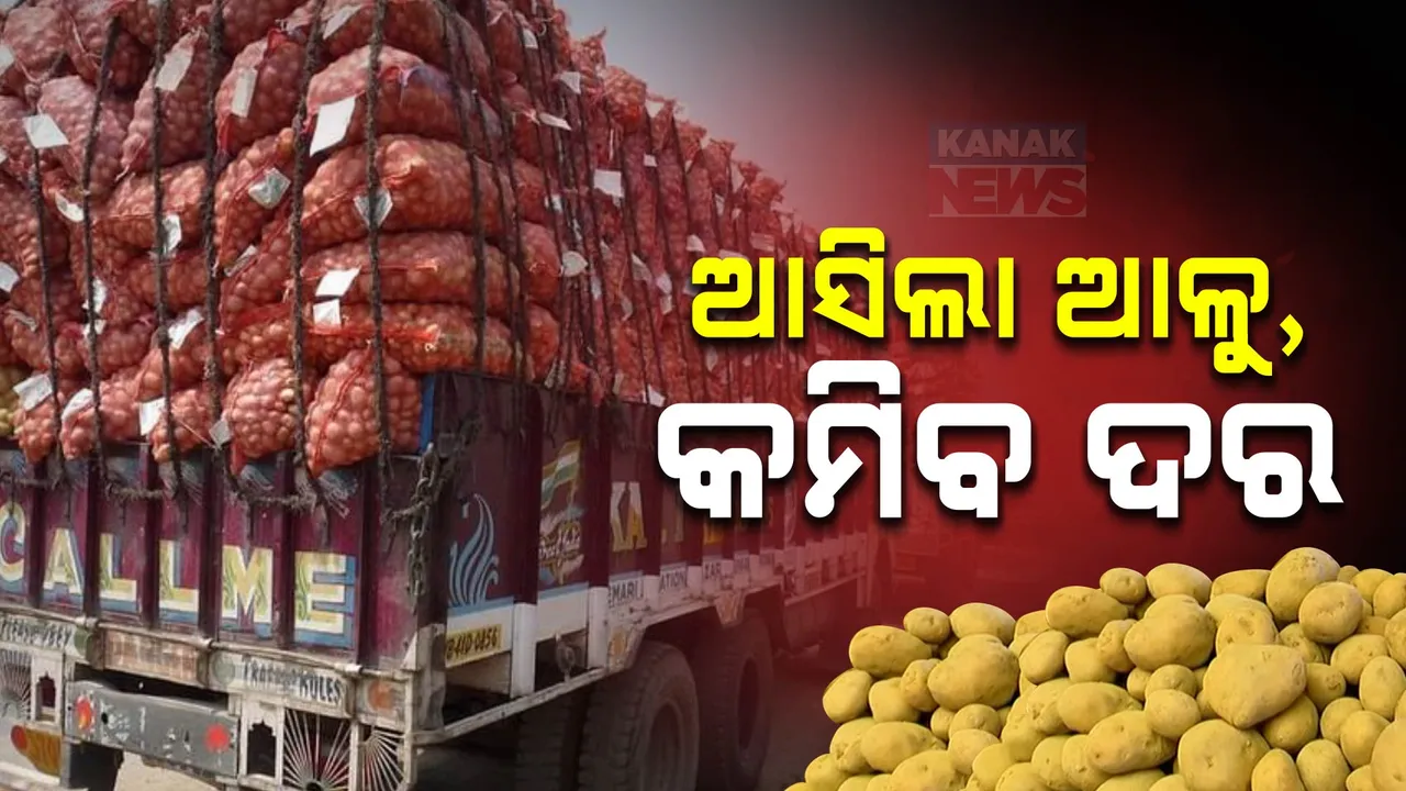 ହଟିଲା ବ୍ୟାରିକେଡ, ଓଡ଼ିଶା ପହଞ୍ଚିଲା ପଶ୍ଚିମବଙ୍ଗ ଆଳୁ; ସ୍ଥିତି ସ୍ୱାଭାବିକ ହେବା ସହ ଆଳୁ ଦର କମିବା ଆଶା