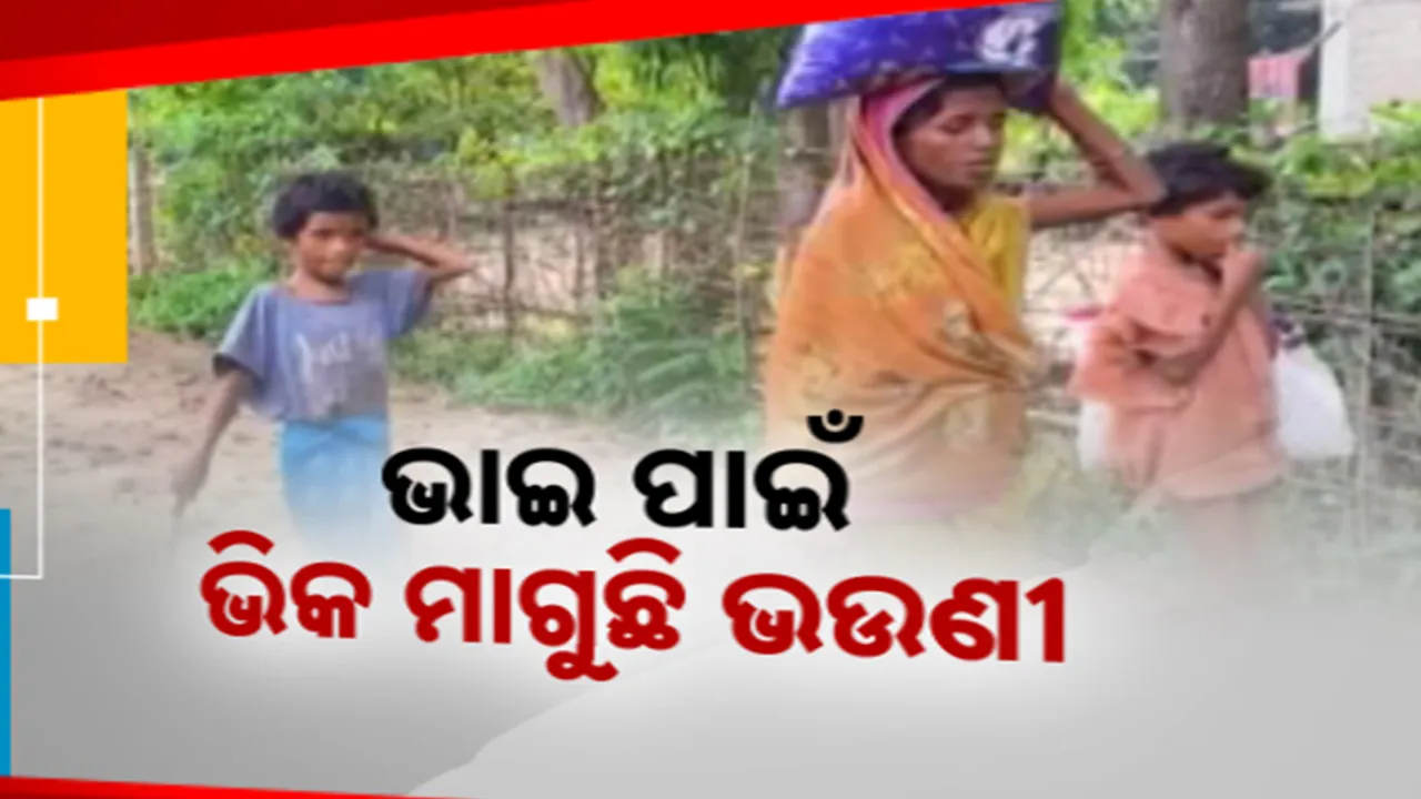  ଅବେଳରେ ଆରପାରିକୁ ଚାଲିଗଲା ଭାଇ । ଶବଦାହ ପାଇଁ କାଠ କିଣି ନପାରି ପାହାଡ଼ ଉପରେ ପୋତିଦେଲେ ଭଉଣୀ