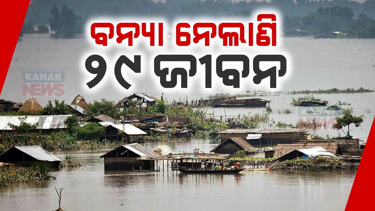  ବନ୍ୟା ନେଲାଣି ୨୯ ଜୀବନ:ଗୁଜୁରାଟରେ ପ୍ରବଳ ବର୍ଷା ପରେ ବନ୍ୟା ବିତ୍ପାତ