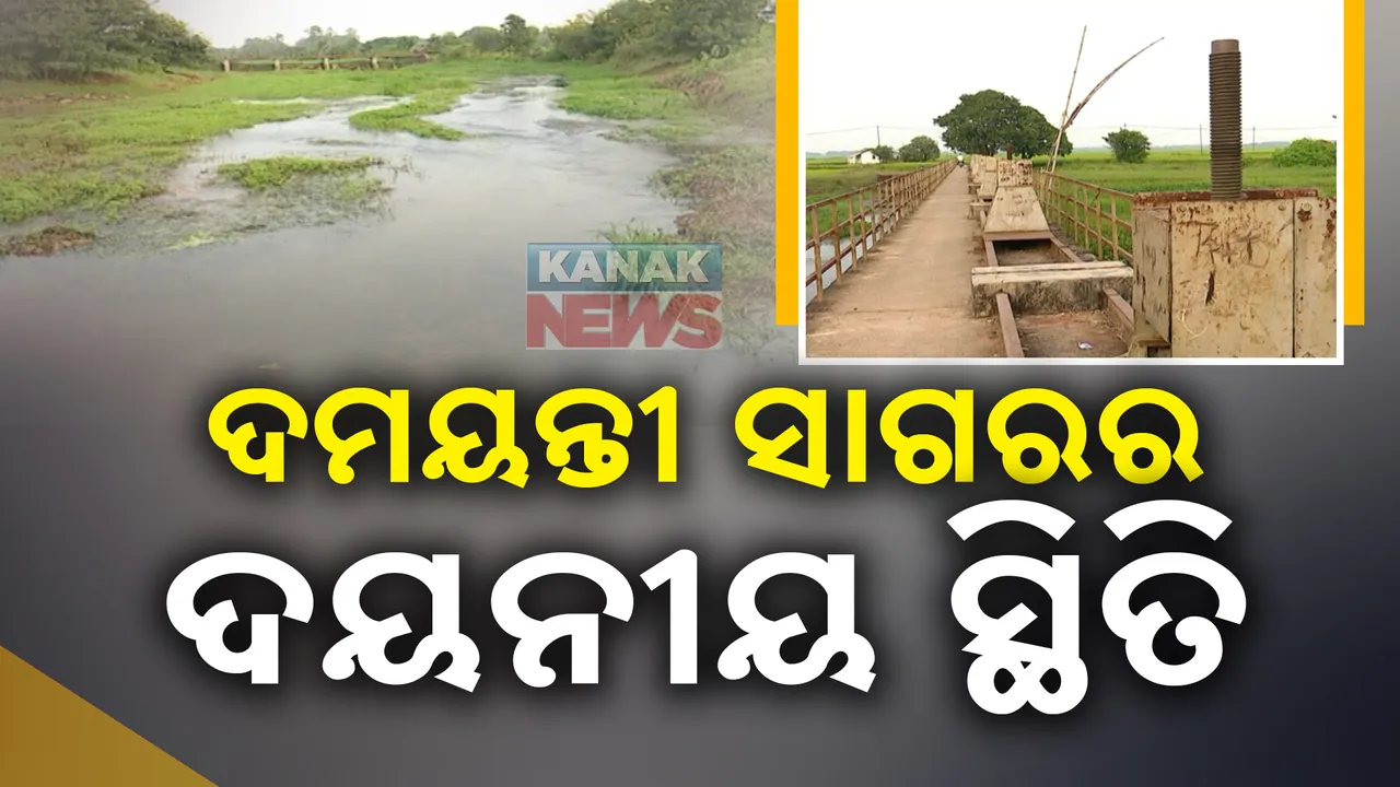  ଦୟନୀୟ ସ୍ଥିତିରେ ଦମୟନ୍ତୀ ସାଗର ।  ପରିଚୟ ଖୋଜୁଛି ପୁରୁଣା ପୁଷ୍କରିଣୀ ।