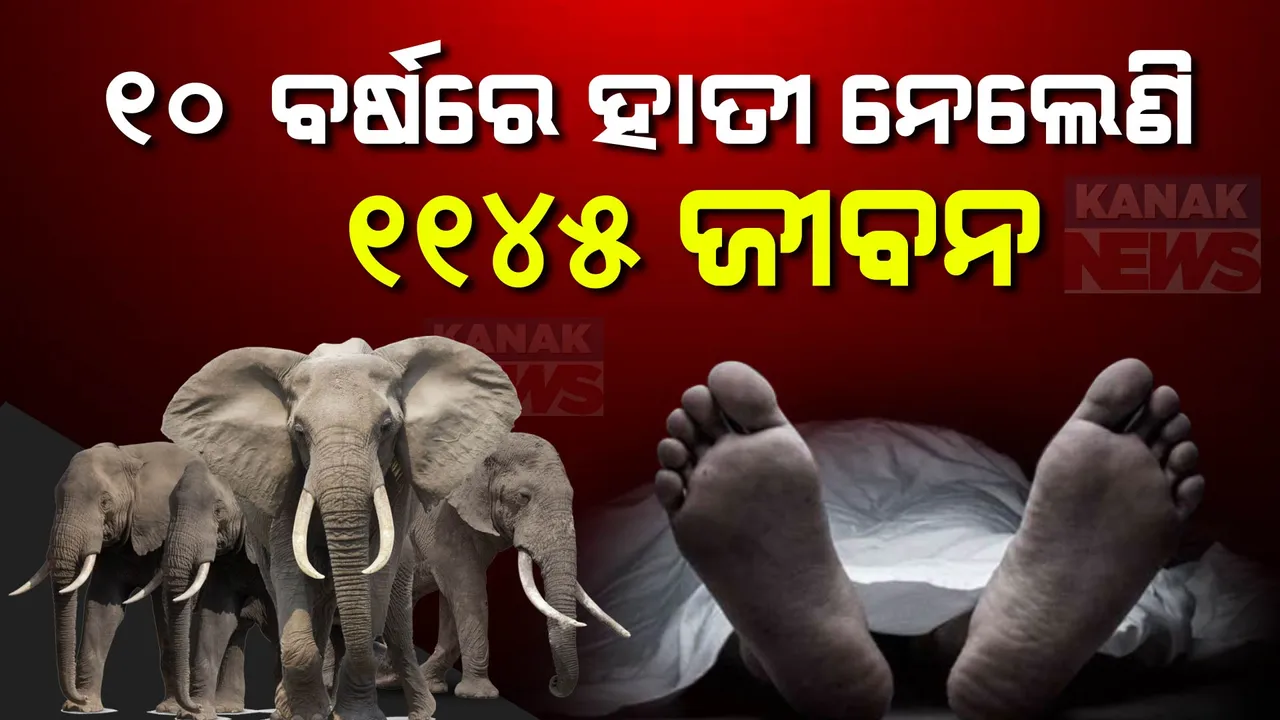  ୧୦ ବର୍ଷରେ ହାତୀ ନେଲେଣି ୧୧୪୫ ଜୀବନ ; ଗୃହରେ ଉତ୍ତର ରଖିଲେ ପରିବେଶ ମନ୍ତ୍ରୀ