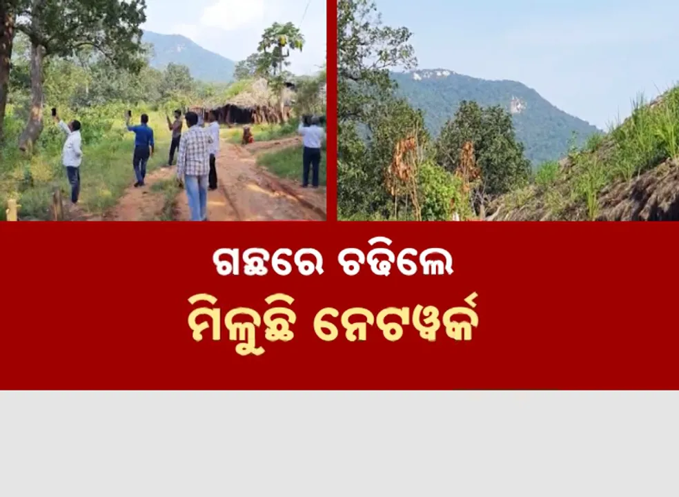  ଗଛରେ ଚଢିଲେ ମିଳୁଛି ନେଟୱର୍କ । ଦୁର୍ଗମ ଅଞ୍ଚଳରେ ମିଳୁନି ମୋବାଇଲ ସେବା ।
