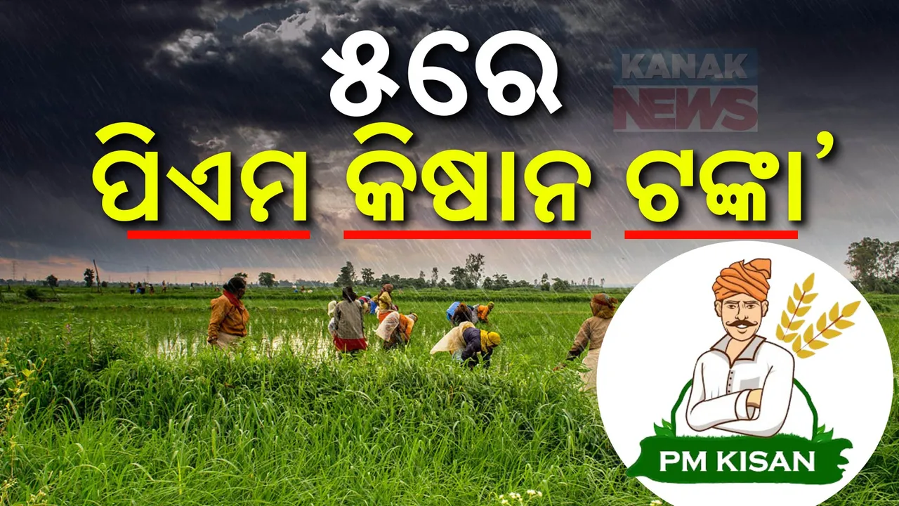  ଅକ୍ଟୋବର ୫ରେ ମିଳିବ ପିଏମ୍ କିଷାନ ଯୋଜନା ଟଙ୍କା ; ଚାଷୀଙ୍କ ଆକାଉଣ୍ଟକୁ ଯିବ ୯ କୋଟି ୫୦ ଲକ୍ଷ  ।