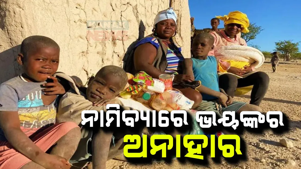  ନାମିବ୍ୟାରେ ଭୟଙ୍କର ଅନାହାର ;  ଲୋକଙ୍କ ଜୀବନ ବଞ୍ଚାଇବାକୁ ୭୨୩ ଜୀବଙ୍କୁ ହତ୍ୟା  କରାଯିବାକୁ ନିର୍ଦ୍ଦେଶ