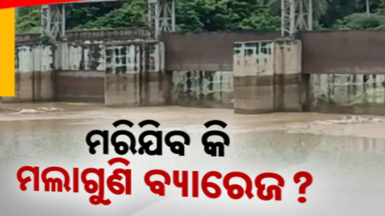  ମରିଯିବ କି ମଲାଗୁଣି ବ୍ୟାରେଜ? ମୁଣ୍ଡରେ ହାତ ଦେଇ ବସିଛି ଚାଷୀ