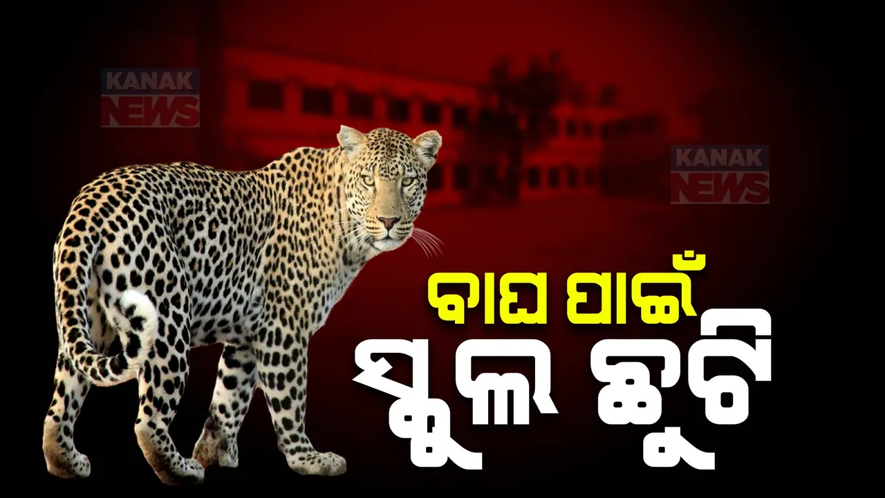  ବାଘ ପାଇଁ କେନ୍ଦ୍ରୀୟ ବିଦ୍ୟାଳୟକୁ ଛୁଟି ଘୋଷଣା: କଲରାପତରିଆ ବାଘ ଥିବାରୁ  ଆଜି ପାଇଁ ଛୁଟି ଘୋଷଣା