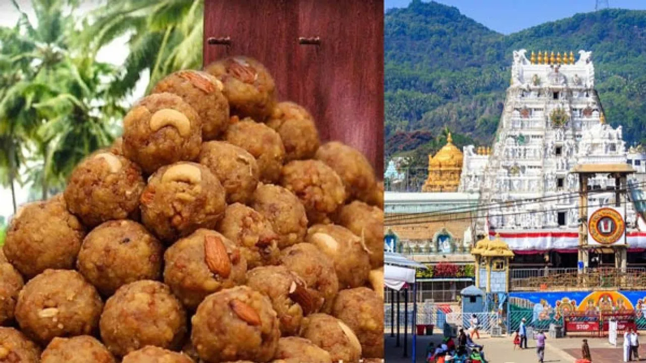 ତିରୁପତିଙ୍କ ଲଡୁ ପାଇଁ ବ୍ୟବହୃତ ଘିଅରେ ମିଶିଥିଲା ମାଛ ତେଲ ଓ ପଶୁ ଚର୍ବି । ଚନ୍ଦ୍ରବାବୁ ନାଇଡୁଙ୍କ ଅଭିଯୋଗ ପରେ ଆସିଲା ଲ୍ୟାବ୍ ରିପୋର୍ଟ