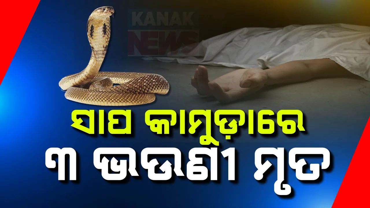  ସାପ କାମୁଡାରେ ୩ ଭଉଣୀଙ୍କ ମୃତ୍ୟୁ ବାପା ଗୁରୁତର , ବୌଦ୍ଧ ଚାରିଆପାଲି ଗାଁରୁ ଆସିଲା ଦୁଃଖଦ ଘଟଣା
