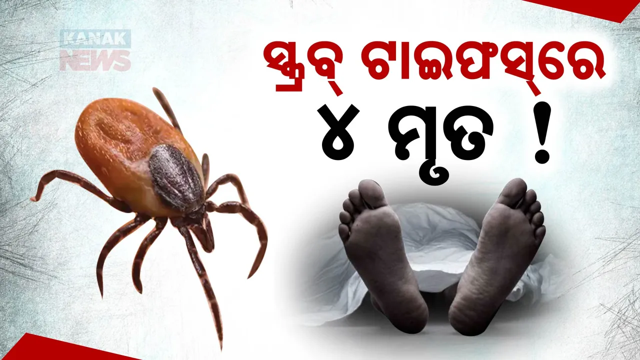  ଡରାଇଲାଣି ସ୍କ୍ରବ ଟାଇଫସ୍ । ବରଗଡ ଜିଲ୍ଲାରେ ଆଉ ଜଣଙ୍କର ମୃତ୍ୟୁ ସନ୍ଦେହ । ପୂର୍ବରୁ ରାଜ୍ୟରେ ଯାଇଛି ୩ ଜଣଙ୍କ ଜୀବନ