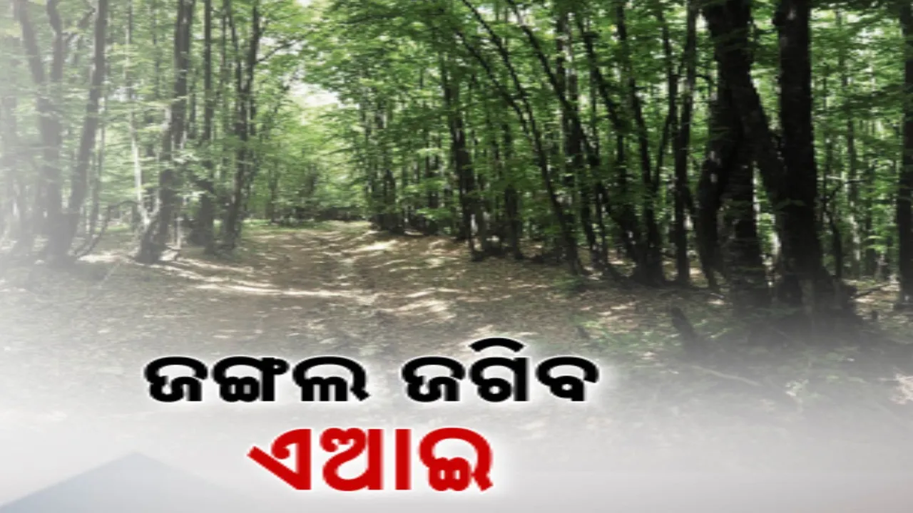  ଜଙ୍ଗଲରେ ବନ୍ୟପ୍ରାଣୀଙ୍କ ଗତିବିଧି ଉପରେ ନଜର ରଖିବ ଏଆଇ । ବିଧାନସଭାରେ ଅରୁଣ ସାହୁଙ୍କ ପ୍ରଶ୍ନର ଉତ୍ତର ରଖିଲେ ଜଙ୍ଗଲ ଓ ପରିବେଶ ମନ୍ତ୍ରୀ