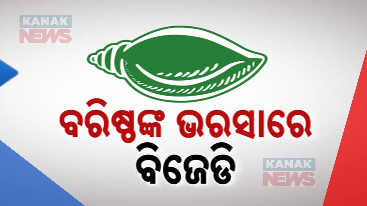  ବିଜେଡି ଗଠନ କଲା ବିଭିନ୍ନ କମିଟି :କମିଟିରେ ସିନିୟର ନେତାଙ୍କୁ ଦାୟିତ୍ୱ