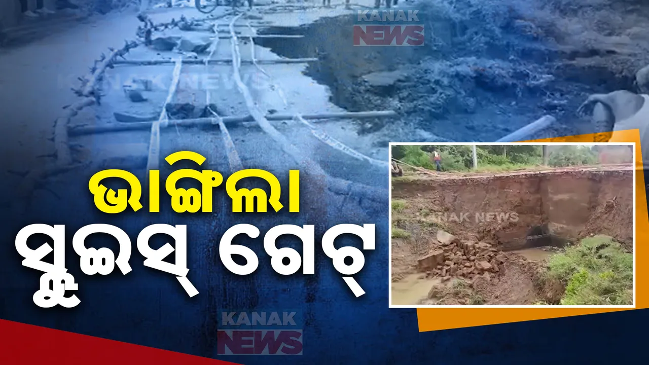  ଲଗାଣ ବର୍ଷାରେ ଭାଙ୍ଗିଲା କୋଷ୍ଟ କେନାଲ ସ୍ଲୁଇସ୍ ଗେଟ୍ ; ହେକ୍ଟର ହେକ୍ଟର ଜମିରେ ଧାନ ଫସଲ ନଷ୍ଟ